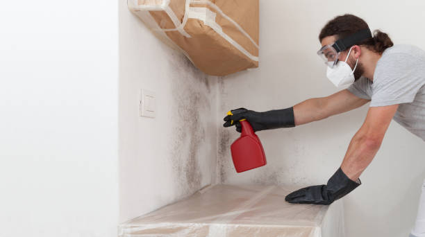 Professional Mold Inspection And Testing technician working in Arcadia, MI